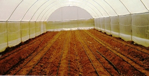 Greenhouse tunnels under construction Kenya