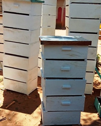 Langstroth beehive made in Kenya