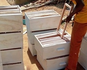 Manufacturer of beehives in Kenya